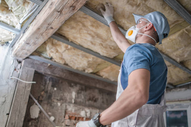 Best Insulation Maintenance and Repair in West Livingston, TX