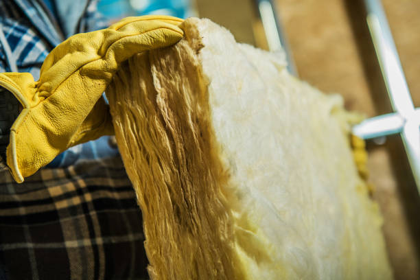 Best Insulation Maintenance and Repair in West Livingston, TX