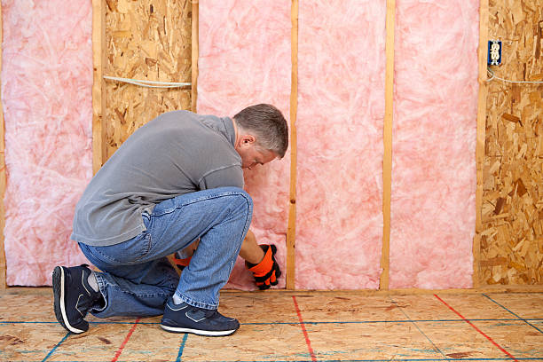 Best Insulation for Specific Applications in West Livingston, TX